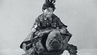 Grow Up! Little Turtle