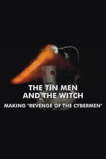 The Tin Men and the Witch film afişi