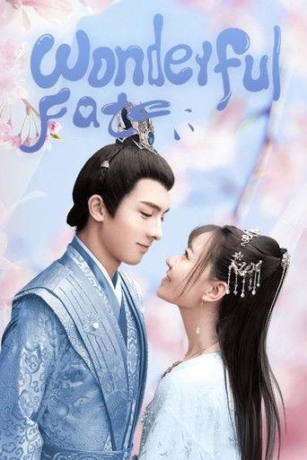 Wonderful Fate dizi afişi