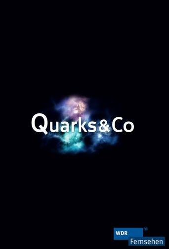 Quarks dizi afişi