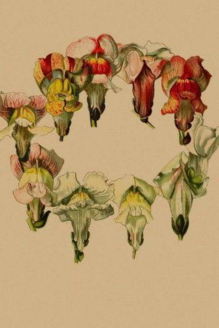 Stories In Place: Plante. film afişi