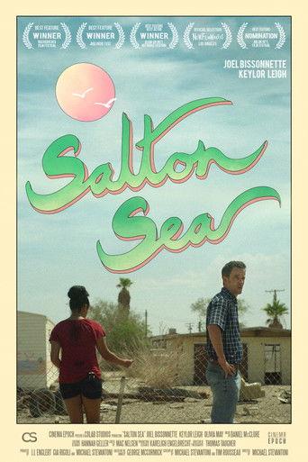 Salton Sea film afişi