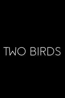 Two Birds film afişi