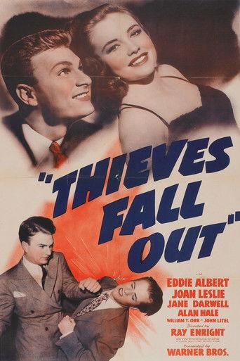 Thieves Fall Out film afişi