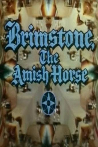 Brimstone, the Amish Horse film afişi