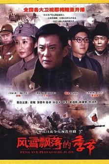 风雪飘落的季节 dizi afişi