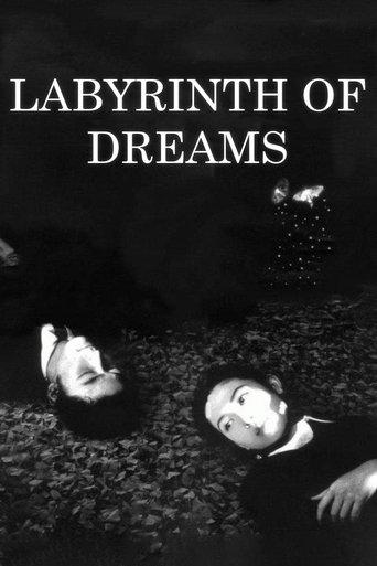 Labyrinth of Dreams film afişi