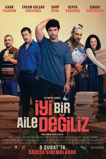 Not Your Average Family film afişi