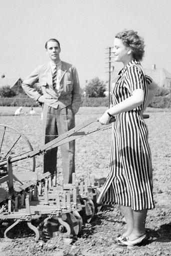 Sockerskrinet film afişi