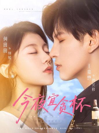 今夜宜贪杯 dizi afişi