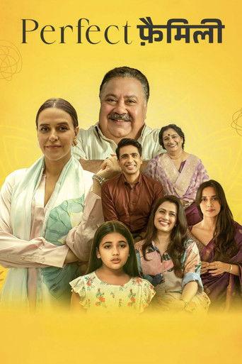 Perfect Family dizi afişi