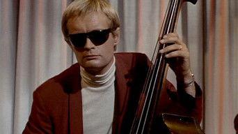 The Discotheque Affair