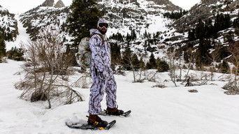 Ivory Billed Woodpecker of the Bayou