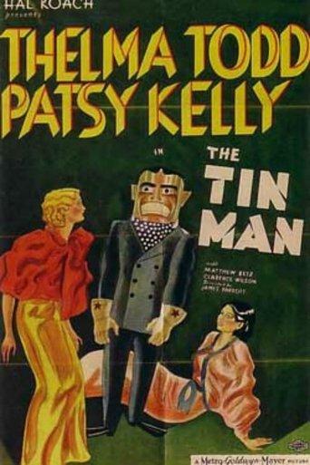 The Tin Man film afişi