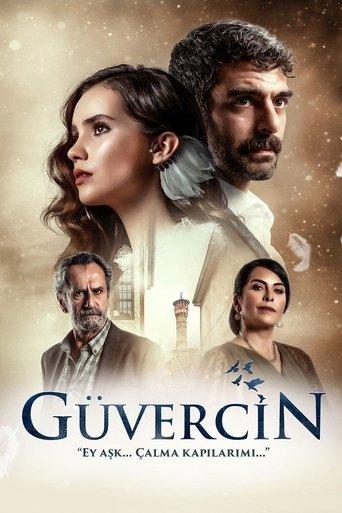 The Pigeon dizi afişi