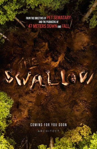 The Swallow film afişi