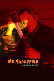 Mr. Sganzerla: Os Signos da Luz film afişi