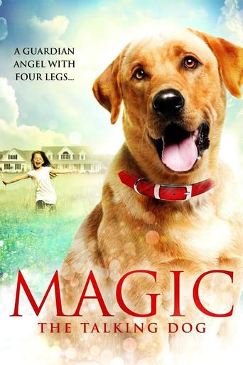 Magic film afişi