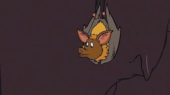 You Should Be Dancing!/Batty for Bats