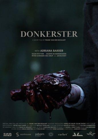 Darker film afişi