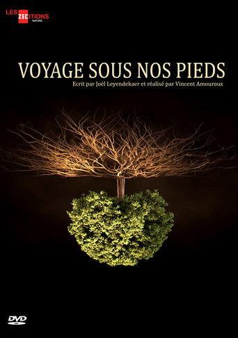 Voyage sous nos pieds dizi afişi