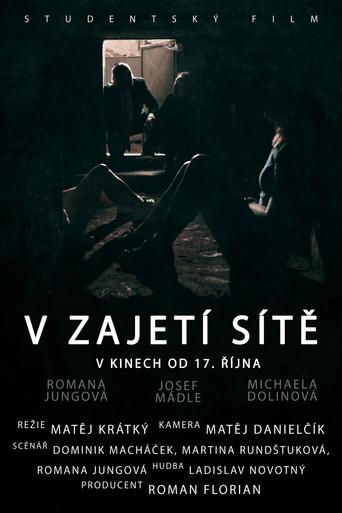 V zajetí sítě film afişi