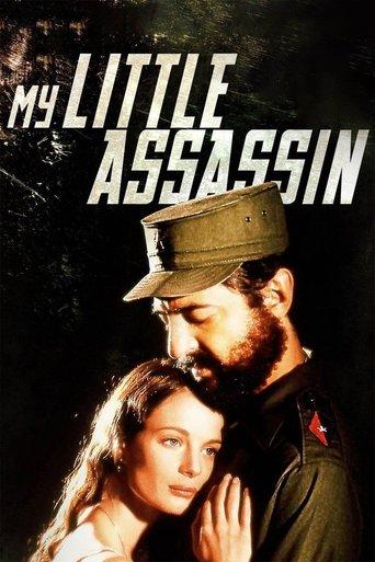 My Little Assassin film afişi