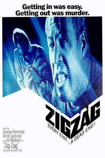 Zig Zag film afişi