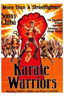 Karate Warriors film afişi