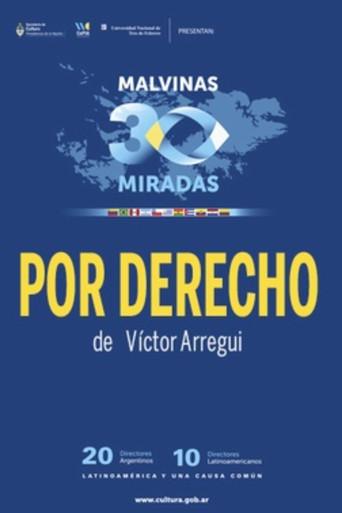 Por derecho film afişi