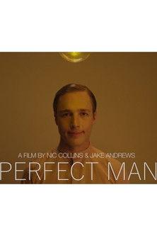 Perfect Man film afişi