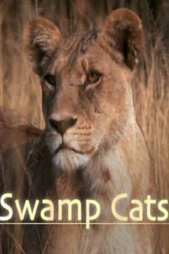 Swamp Cats film afişi