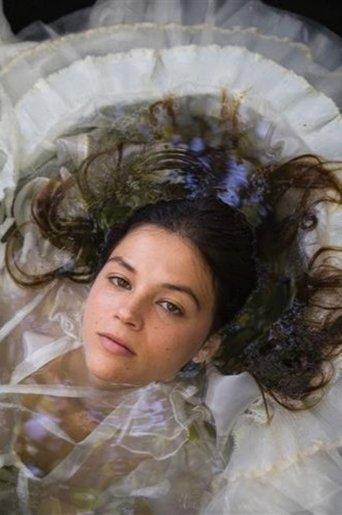 The seagull film afişi