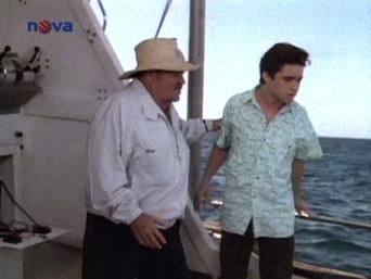 Put Your Dreams Away