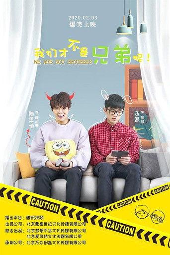 We Are Not Brothers dizi afişi