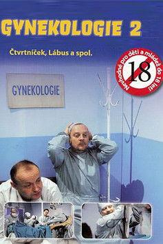 Gynekologie 2 dizi afişi