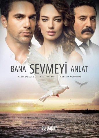 Wings of Love dizi afişi