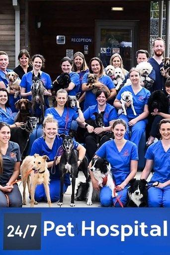 24/7 Pet Hospital dizi afişi