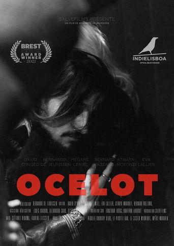 Ocelot film afişi