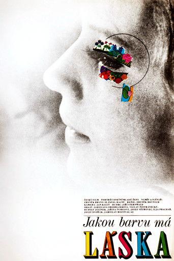 Jakou barvu má láska film afişi