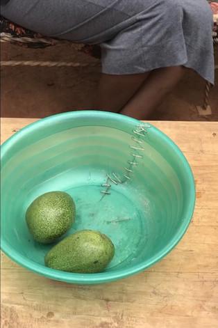 The Bowl film afişi