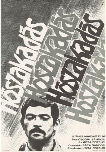 Snowfall film afişi