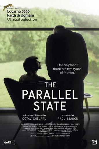 The Parallel State film afişi