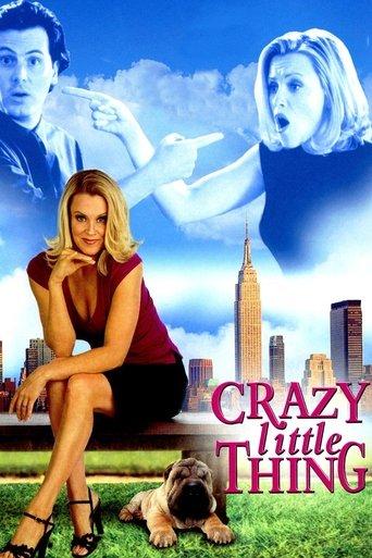 The Perfect You film afişi