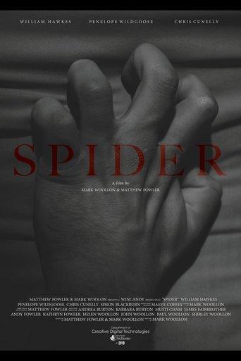Spider film afişi