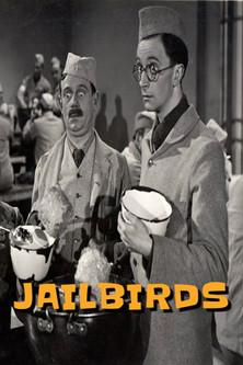 Jailbirds film afişi