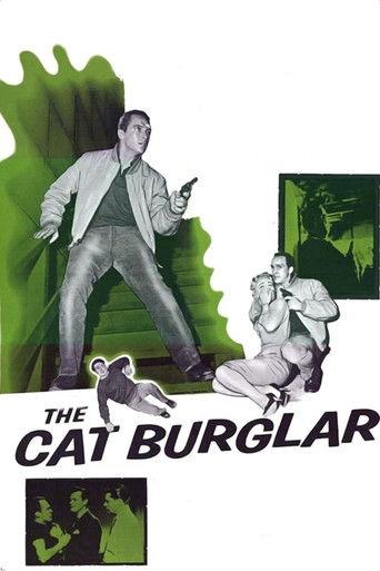 The Cat Burglar film afişi