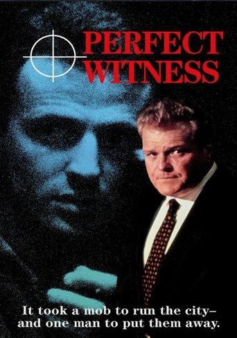 Perfect Witness film afişi