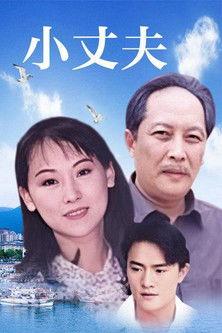 小丈夫 妻大姐 dizi afişi
