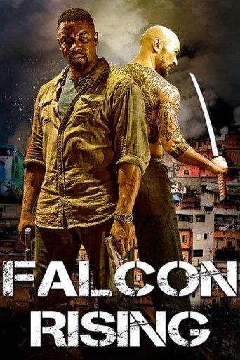Falcon Rising film afişi
